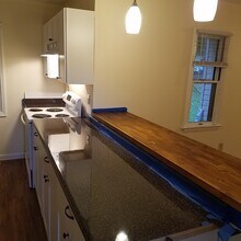 1240 Louise Ave in Charlotte, NC - Building Photo - Building Photo