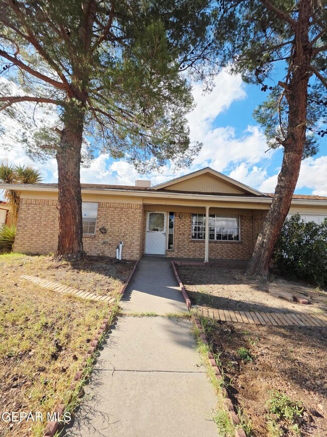 10457 Aphonia Dr in El Paso, TX - Building Photo - Building Photo