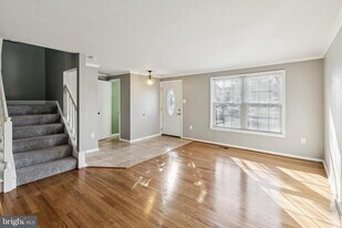 10603 Tuppence Ct in Rockville, MD - Building Photo