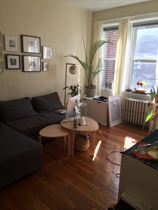 73 Martin St Apartments and Nearby Cambridge Apartments For Rent