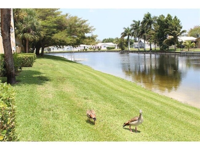 7610 Westwood Dr, Unit 1191 in Tamarac, FL - Foto de edificio - Building Photo