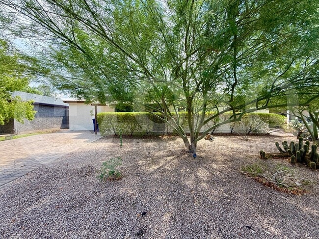 1309 E Orange St. in Tempe, AZ - Building Photo - Building Photo