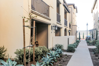 First and Pacific Townhomes in Santa Ana, CA - Building Photo - Building Photo