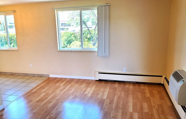 918 S Logan St, Unit 301