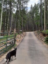 97 Pawnee Trl, Unit Bottom of Mtn Home in Evergreen, CO - Building Photo - Building Photo