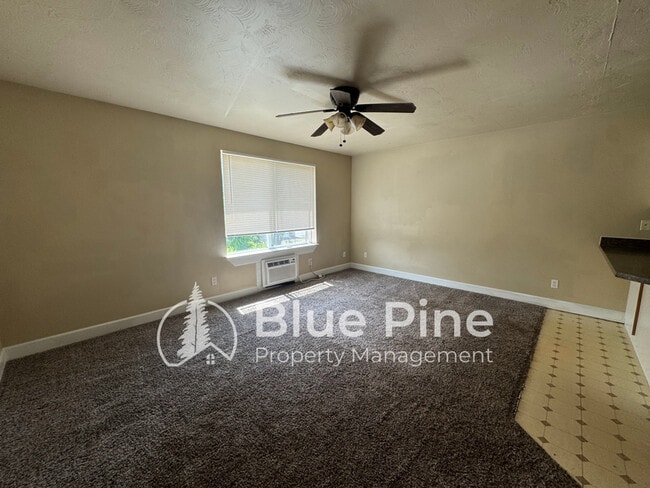 248 Jackson St in Blackfoot, ID - Building Photo - Building Photo