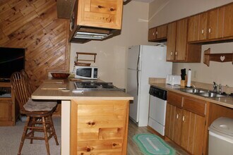120 Cove Blvd in Dillon, CO - Building Photo - Building Photo