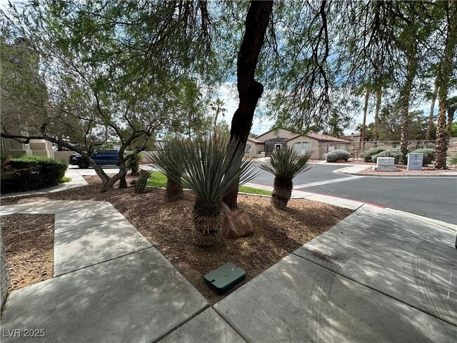 2604 Ponderosa Pine Ave in Henderson, NV - Building Photo - Building Photo