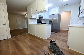 9715 Oak Hollow Dr in Austin, TX - Building Photo - Building Photo