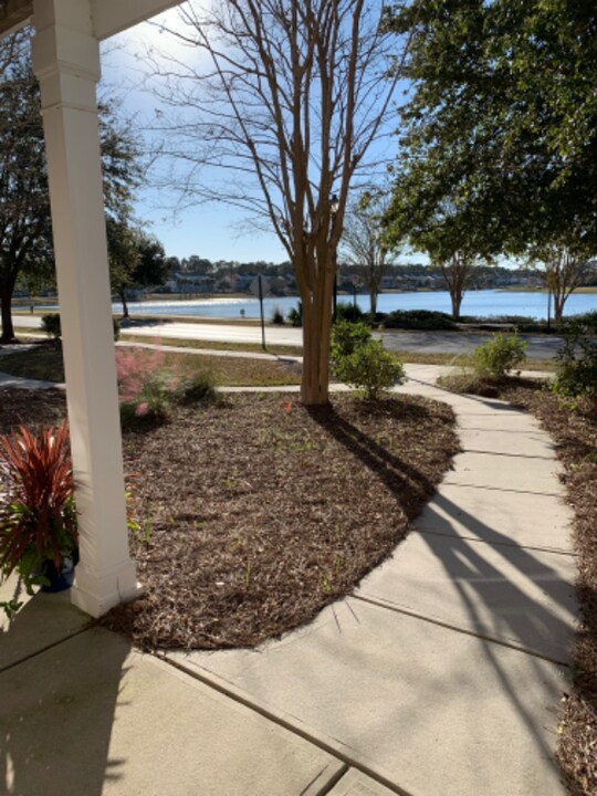 2984 Sugarberry Ln in Johns Island, SC - Building Photo