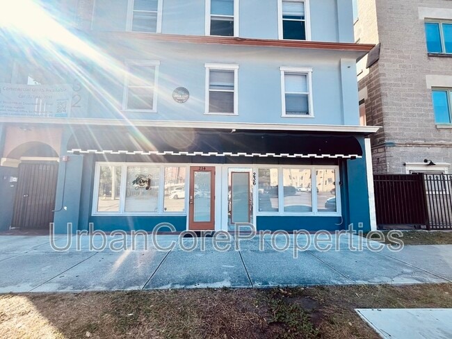 236 4th St N in St. Petersburg, FL - Building Photo - Building Photo