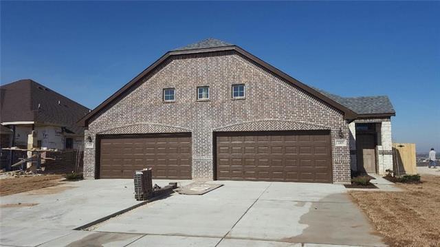 1009 Skyview Ct in Midlothian, TX - Building Photo