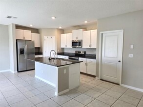 31528 Barrel Wave Way in Wesley Chapel, FL - Building Photo - Building Photo