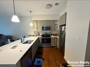 454 Harvard St, Unit 206 in Brookline, MA - Building Photo - Building Photo