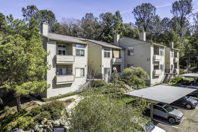 The Ridge Apartments