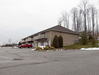 Long Drive Townhomes in Norton, OH - Building Photo - Building Photo