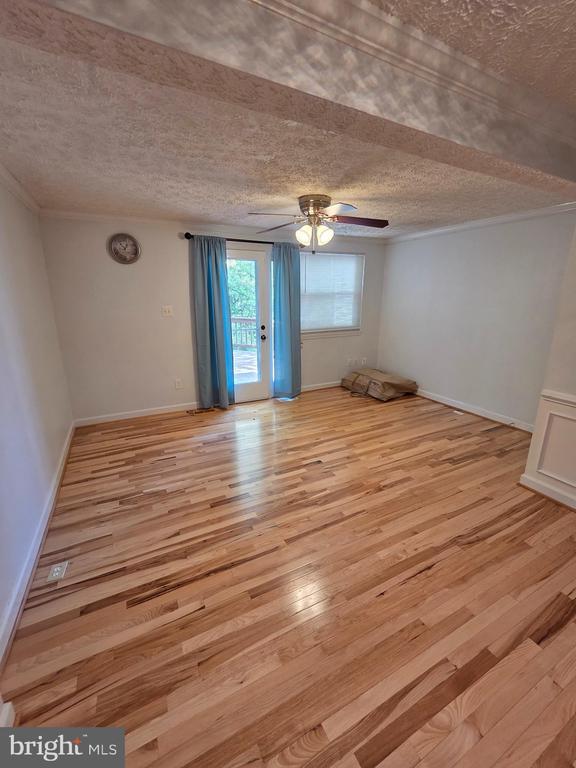 8332 Rocky Forge Ct in Springfield, VA - Building Photo - Building Photo