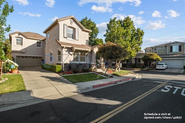 554 Blue Cypress Way in Hercules, CA - Building Photo - Building Photo