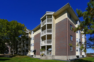 Cityscape in St. Louis Park, MN - Foto de edificio - Building Photo