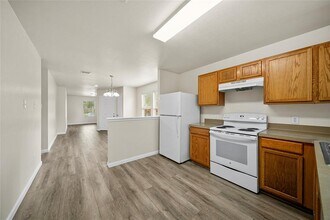 1110 Desert Springs Ln in Rosenberg, TX - Building Photo - Building Photo