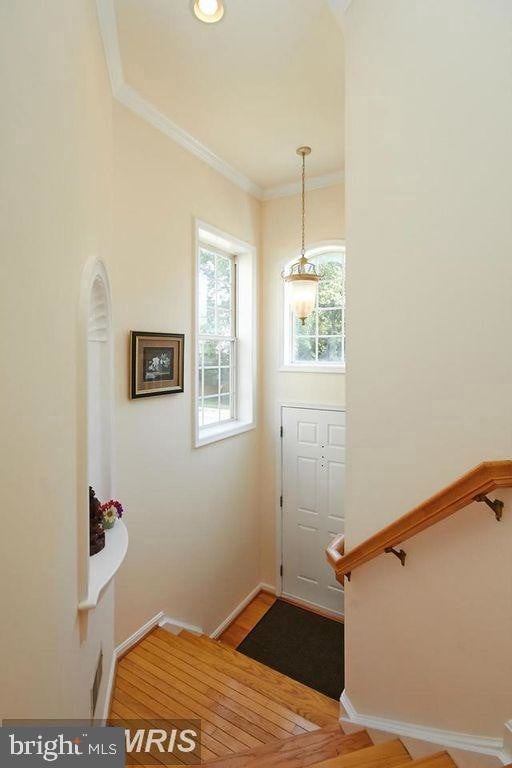 13591 Cedar Run Ln in Herndon, VA - Building Photo - Building Photo