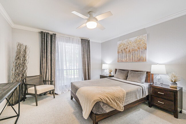 2507 Montrose Blvd in Houston, TX - Building Photo - Building Photo