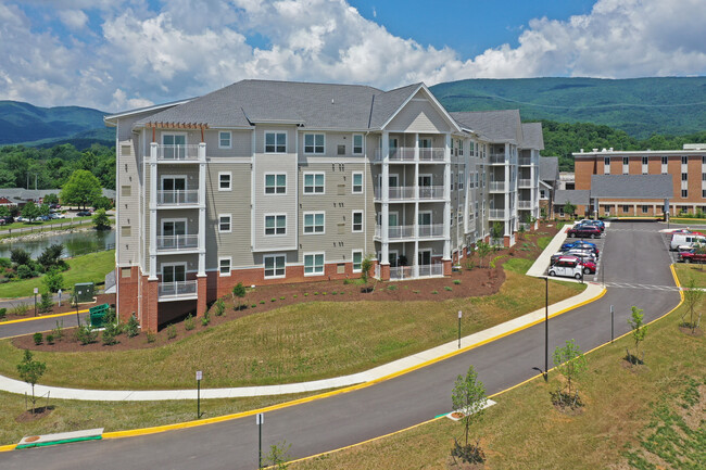 The Villas in Salem, VA - Building Photo - Primary Photo