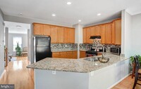 13102 Forest Mist Ln in Fairfax, VA - Building Photo - Building Photo