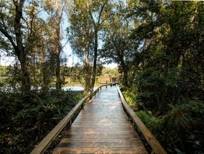 Grande Oasis at Carrollwood in Tampa, FL - Foto de edificio - Building Photo