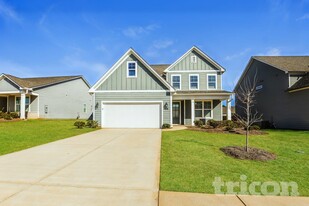 305 Fairmont Ave in Mcdonough, GA - Building Photo