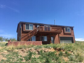 470 Sheep Ridge Rd in Fairplay, CO - Building Photo