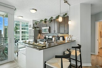 355 E Ohio St in Chicago, IL - Building Photo - Building Photo