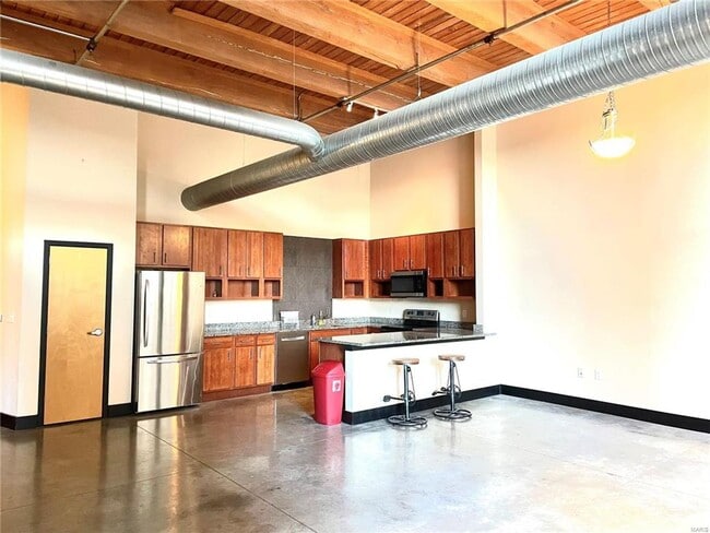 1113 Washington Ave in St. Louis, MO - Building Photo - Building Photo