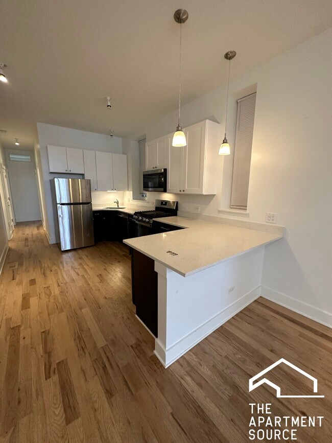 1823 W 17th St, Unit 1F in Chicago, IL - Building Photo - Building Photo