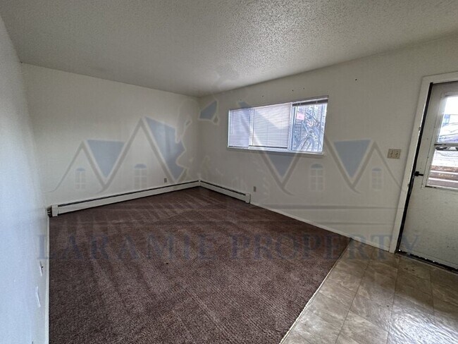 702 Downey St in Laramie, WY - Building Photo - Building Photo