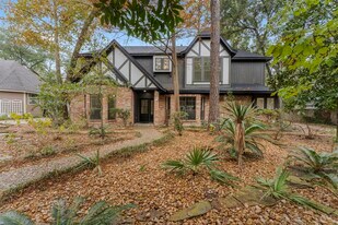 6 Thornhedge Ct in Spring, TX - Building Photo