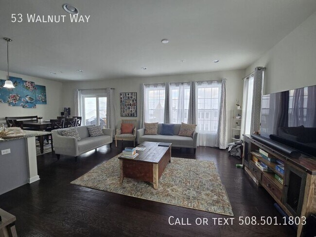 53 Walnut Way in Hopkinton, MA - Building Photo - Building Photo