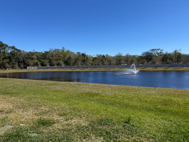 46 Silver Fern Dr in St. Augustine Beach, FL - Building Photo - Building Photo