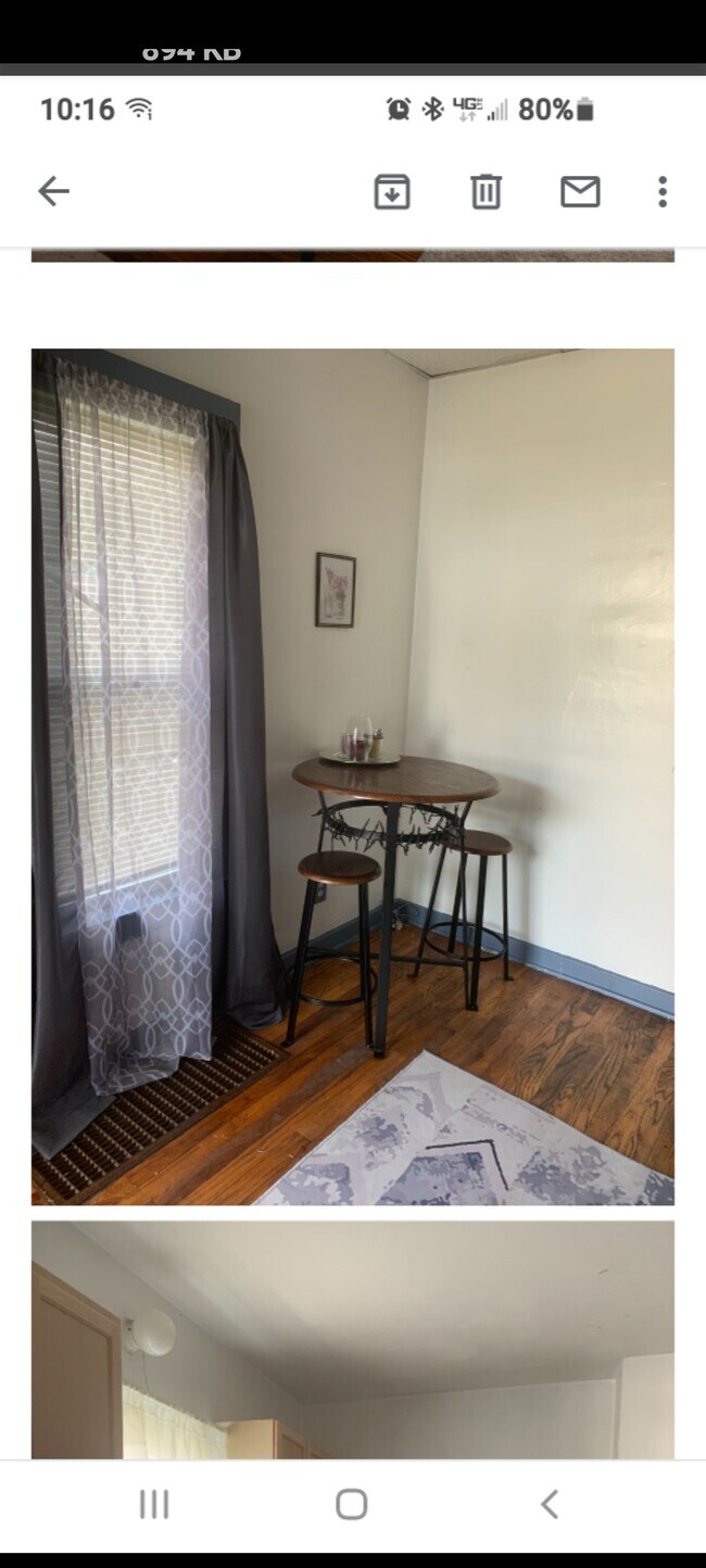 107 Laurel Ave in Binghamton, NY - Building Photo - Building Photo