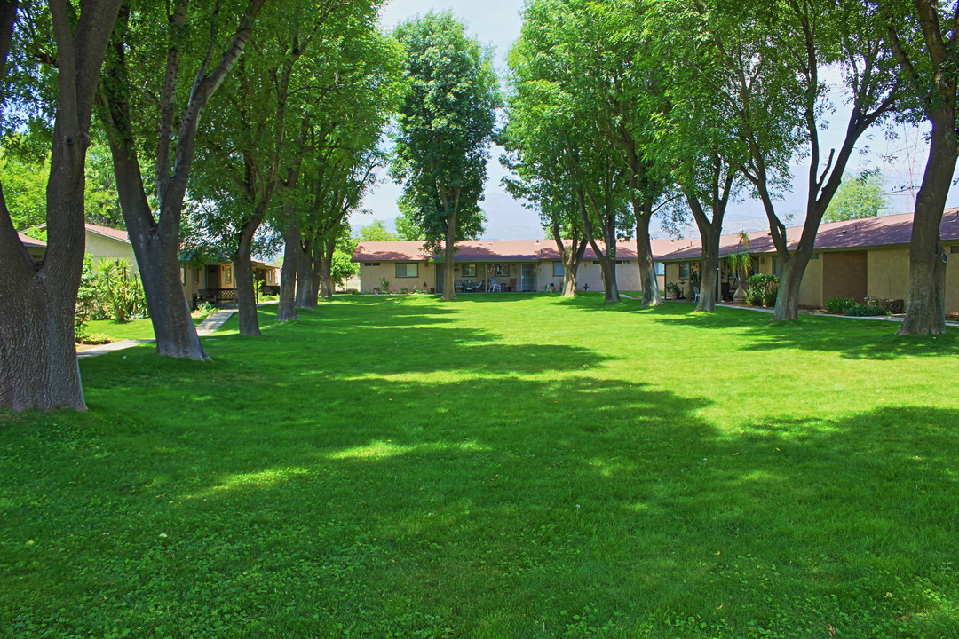 Beaumont Park Apartments in Beaumont, CA - Building Photo