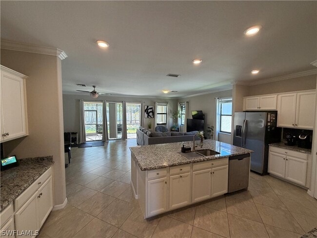property at 4284 Raffia Palm Cir