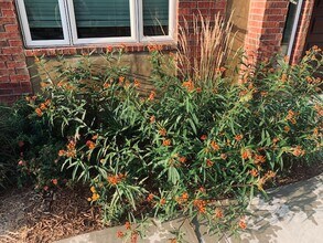 1132 NW 34th St, Unit 2 in Oklahoma City, OK - Building Photo - Building Photo