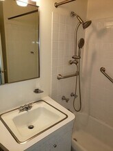 1460 N Sandburg Terrace in Chicago, IL - Building Photo - Building Photo