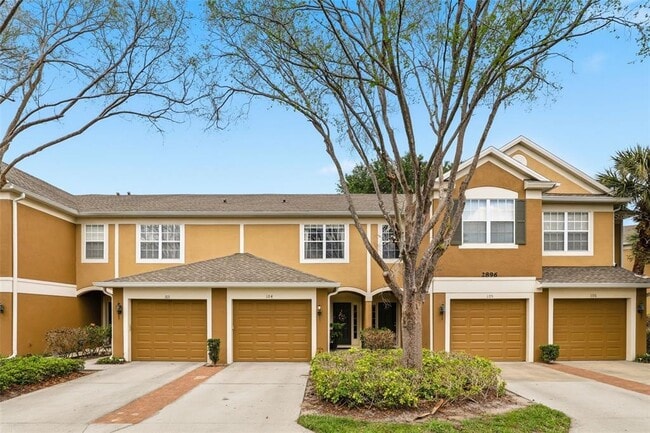 property at 2896 Polvadero Ln