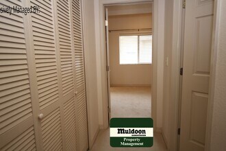 1590 Little Bear Creek Point in Colorado Springs, CO - Building Photo - Building Photo