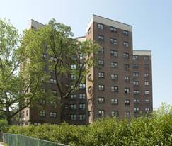 225 Grove St Apartments