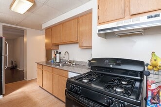 119 S 16th St in Pittsburgh, PA - Building Photo - Building Photo