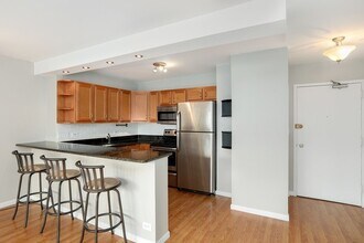 1360 N Sandburg Terrace in Chicago, IL - Building Photo - Building Photo