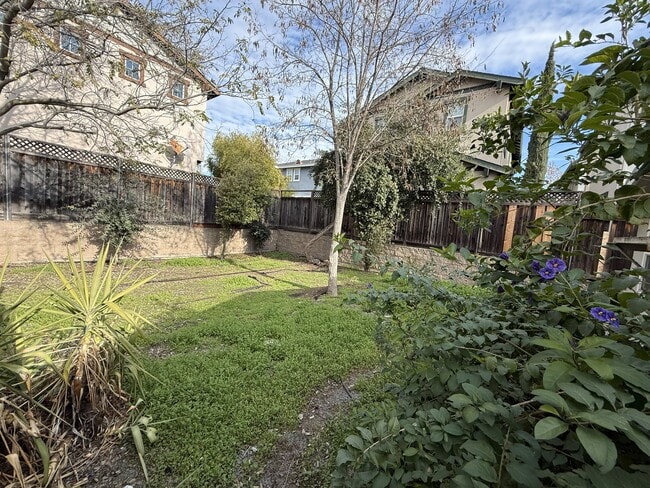 2875 Euclid Ave, Unit B in Concord, CA - Foto de edificio - Building Photo