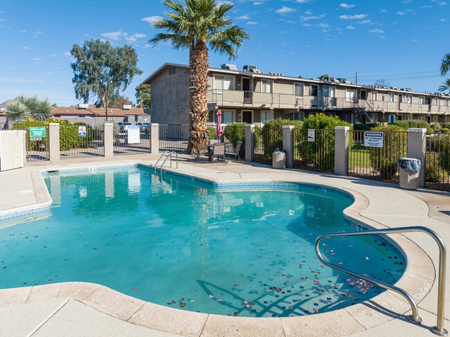 Camelback Courtyard